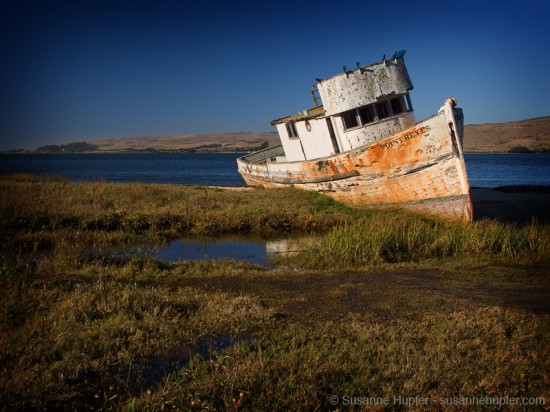 Beached – Inverness, California – 2010